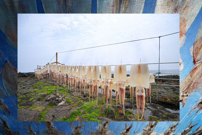 Mực tươi được chế biến ngay khi bắt lên