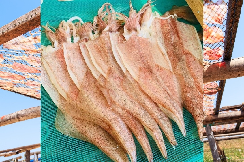 dựa vào đặc điểm bên ngoài