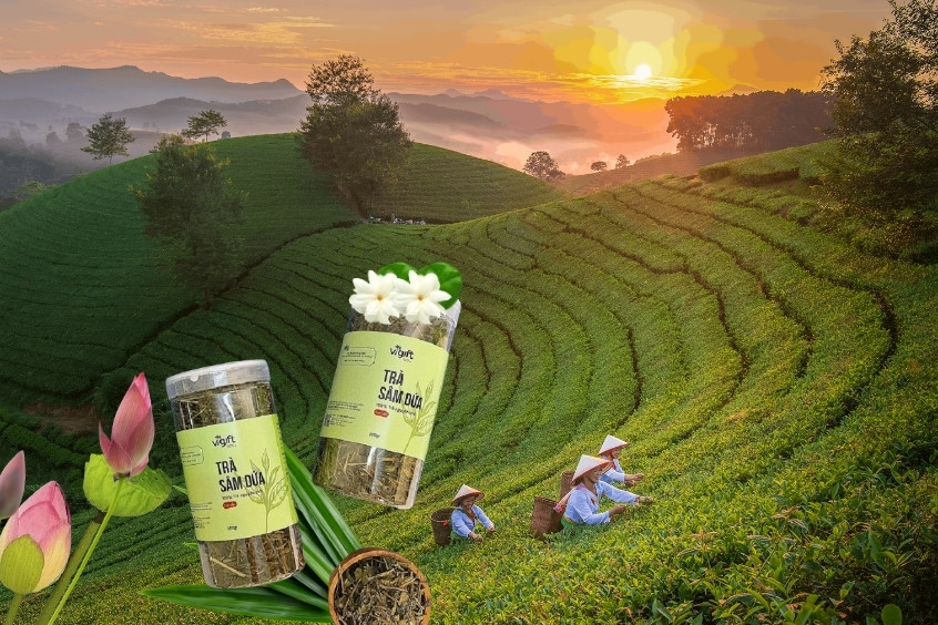 Trà sâm dứa thoang thoảng hương lài