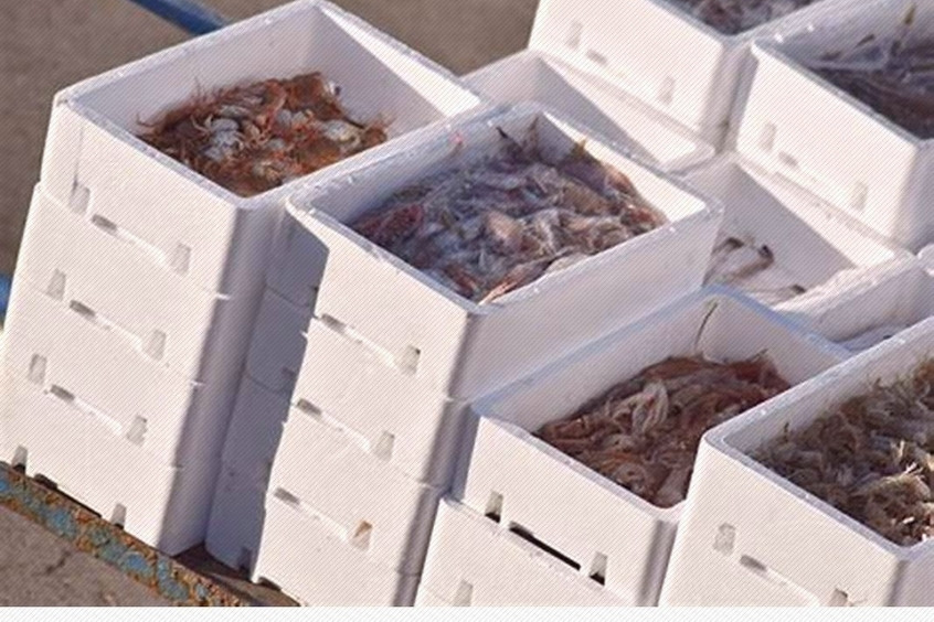 Đóng gói vận chuyển máy bay