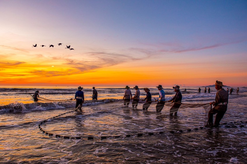 Ngư dân kéo cá vào bờ