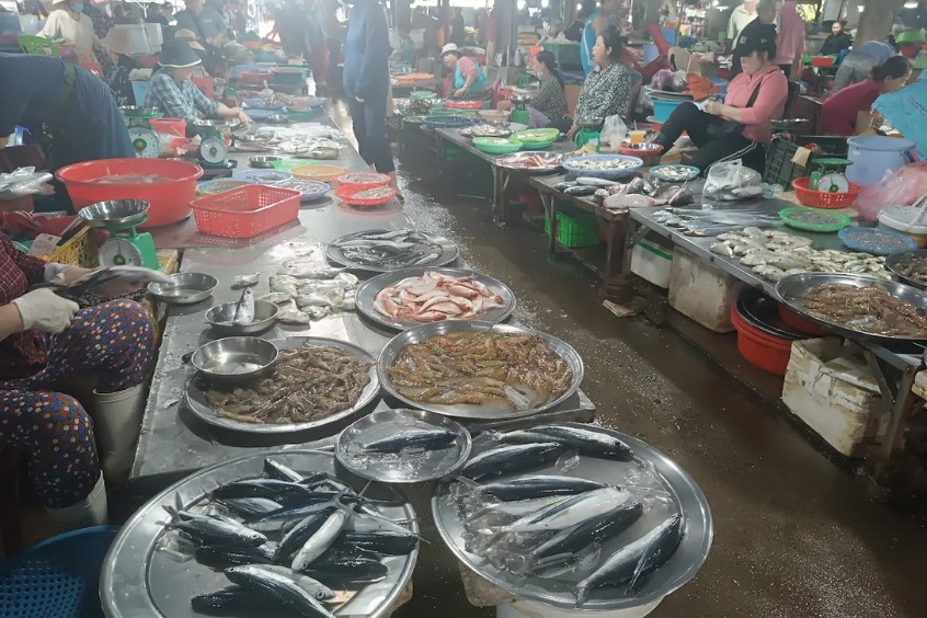 Đi từ sớm để mua được hải sản tươi vừa lên bờ 