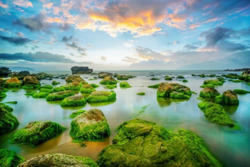 Kết hợp tham quan rạn Nam Ô tuyệt đẹp 