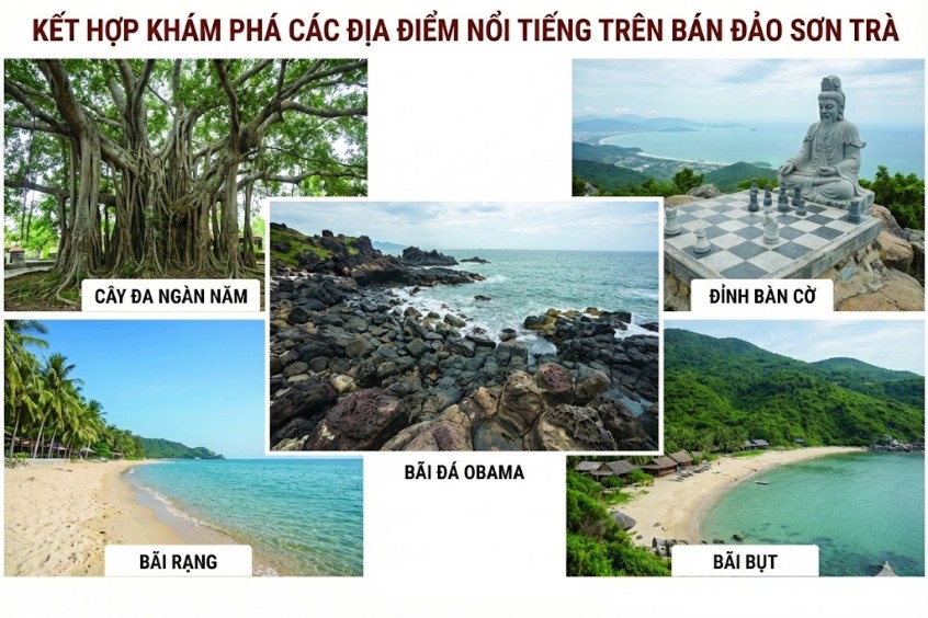 kết hợp tham quan