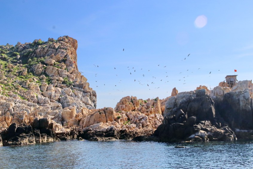 hang yến tự nhiên