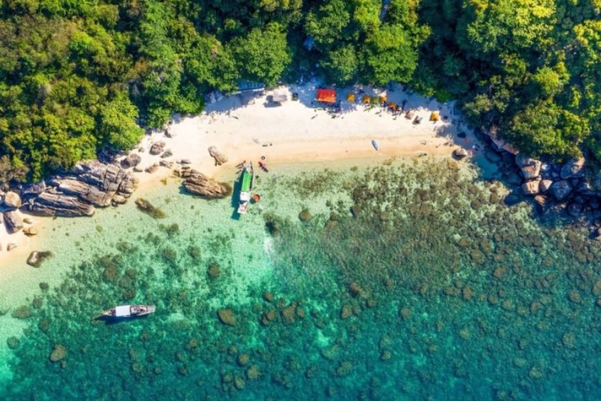 bán đảo sơn trà thiên nhiên gần trung tâm