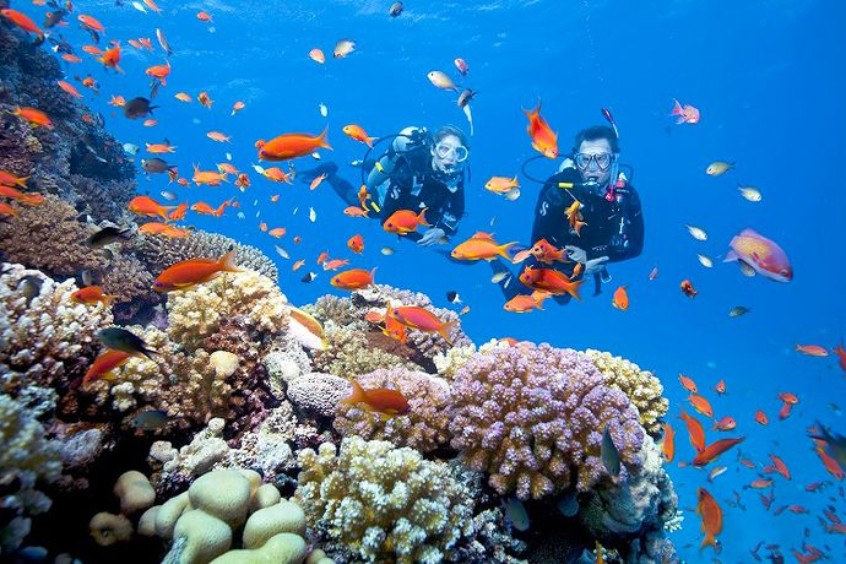 Cù Lao Chàm nơi khám phá trải nghiệm lặn san hô