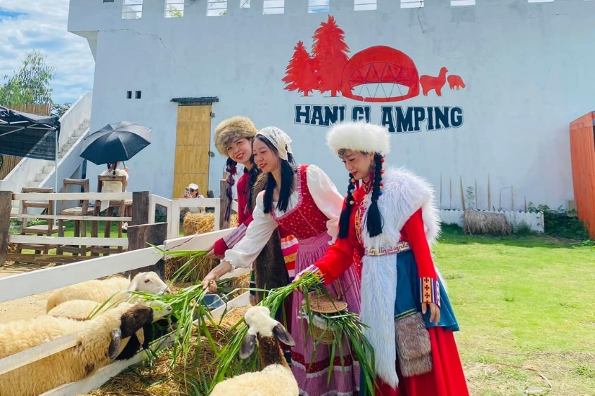 Cổng chào khu cắm trại Hani Glamping với biển chỉ dẫn mộc mạc và không gian thảo nguyên xanh