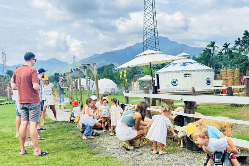 Tham quan trang trại cừu và thỏ cực đáng yêu tại Hani glamping 