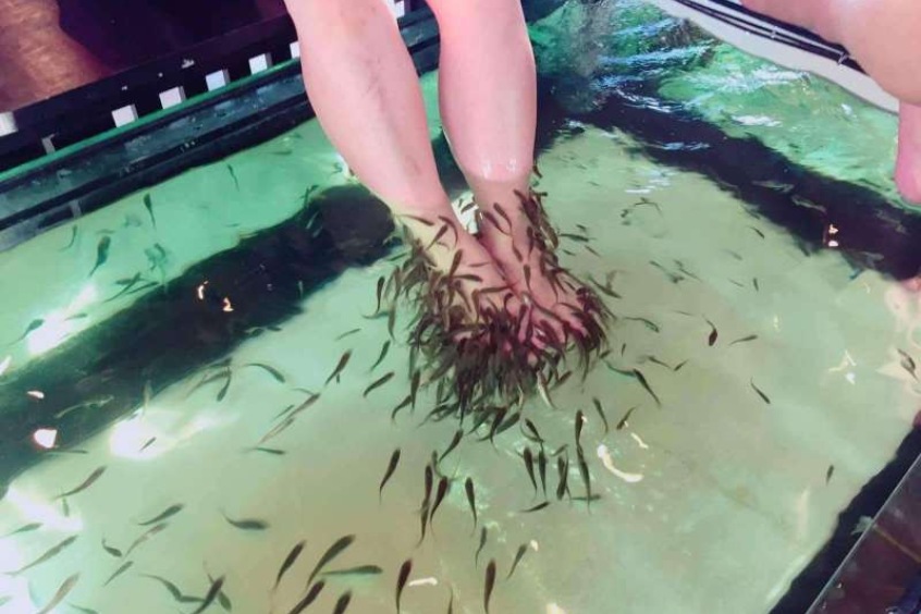 Massage cá - liệu pháp thư giãn nhẹ nhàng giúp xua tan mệt mỏi