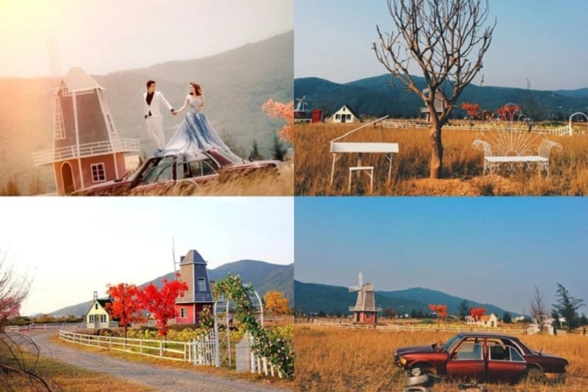 Lạc bước giữa cánh đồng cỏ khô và những chiếc cối xay gió đậm chất châu Âu tại Thuận Phước Fields