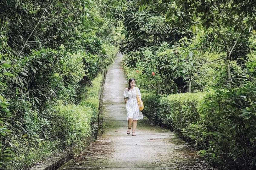 con dốc vào đệ nhất trà trang