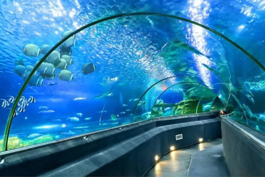 review viện hải dương học nha trang