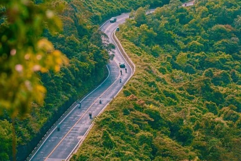 Cung đường nhựa rợp bóng cây dẫn vào khu du lịch Suối Mơ Đà Nẵng