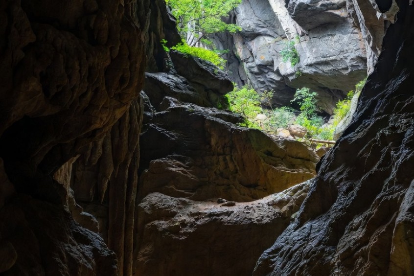 hang cóc thổ sơn