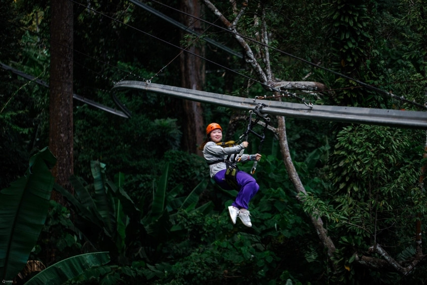 Trò chơi zipline xuyên rừng và các hoạt động phiêu lưu hấp dẫn