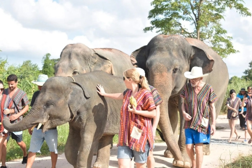 Khu bảo tồn voi tại Phuket với những chú voi được chăm sóc trong không gian rừng xanh tự nhiên