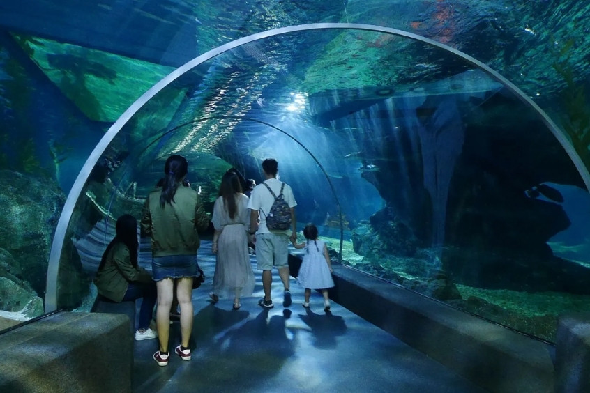 Tham quan đường hầm đại dương tại thủy cung SEA LIFE Bangkok Ocean World