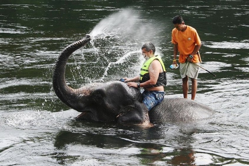 Du khách tắm cho voi tại trại voi Taweechai ở Kanchanaburi