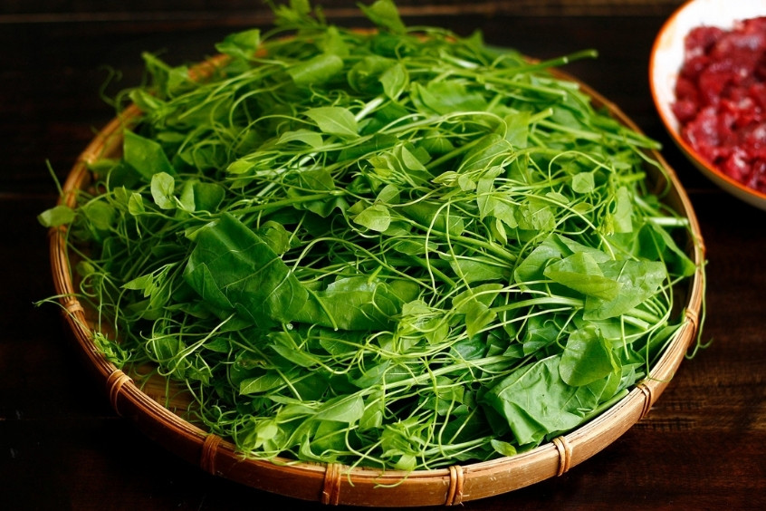 Rau dạ hiến hay còn gọi là rau bò khai