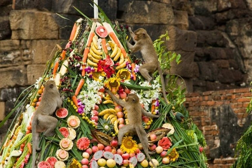 Khỉ ăn trái cây và rau củ tại lễ hội buffet ở Thái Lan