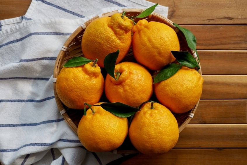 Những quả quýt đường Jeju màu cam tươi, căng tròn, được xếp thành đống trên rổ tre