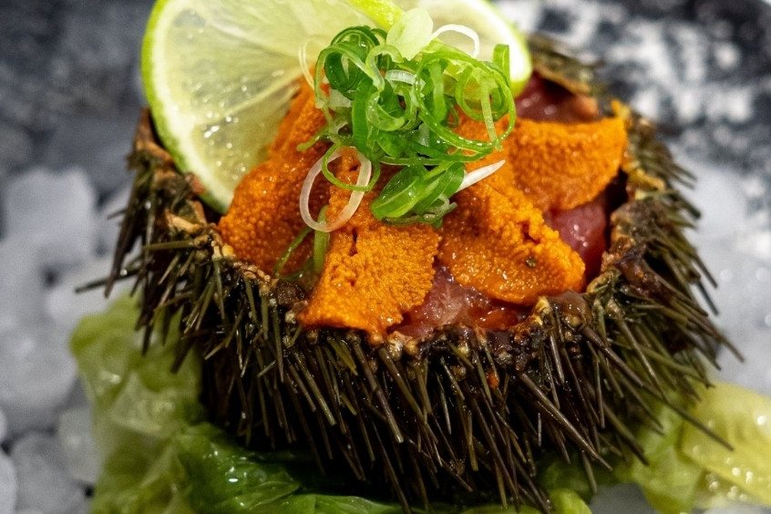 Erizos de Mar - Nhím biển tươi ngon, đặc sản Chile