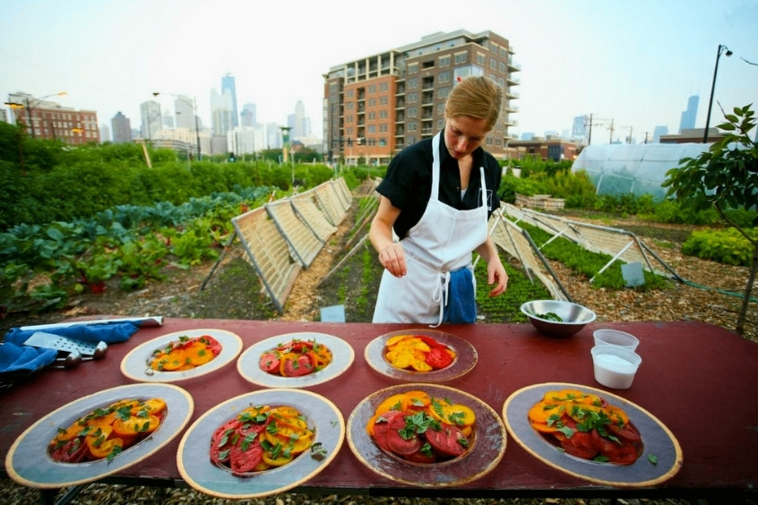 Món ăn farm-to-table với rau củ và thịt tươi ngon lấy trực tiếp từ nông trại địa phương