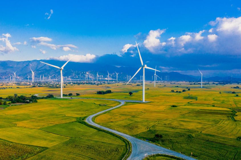 Cánh đồng quạt gió