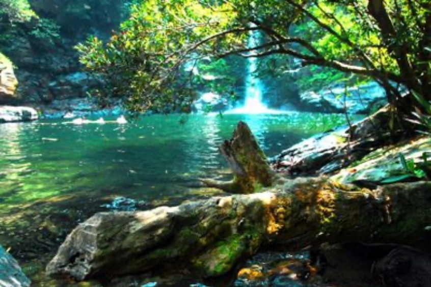 giai điệu trong xanh những ngày đầu năm