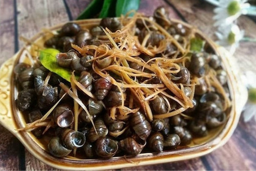 ốc hút đà nẵng