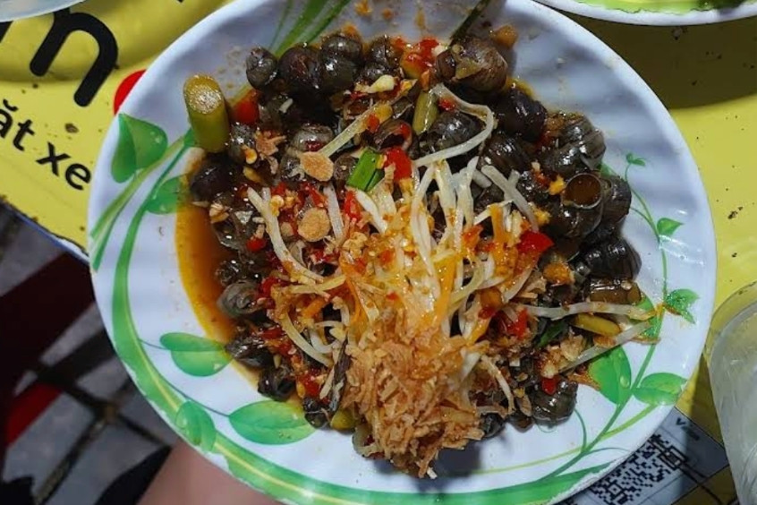 ốc hút cô Ta Đĩa Bay