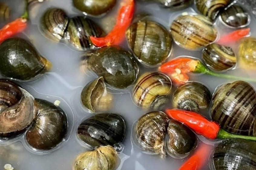 mẹo ăn ốc hút đà nẵng