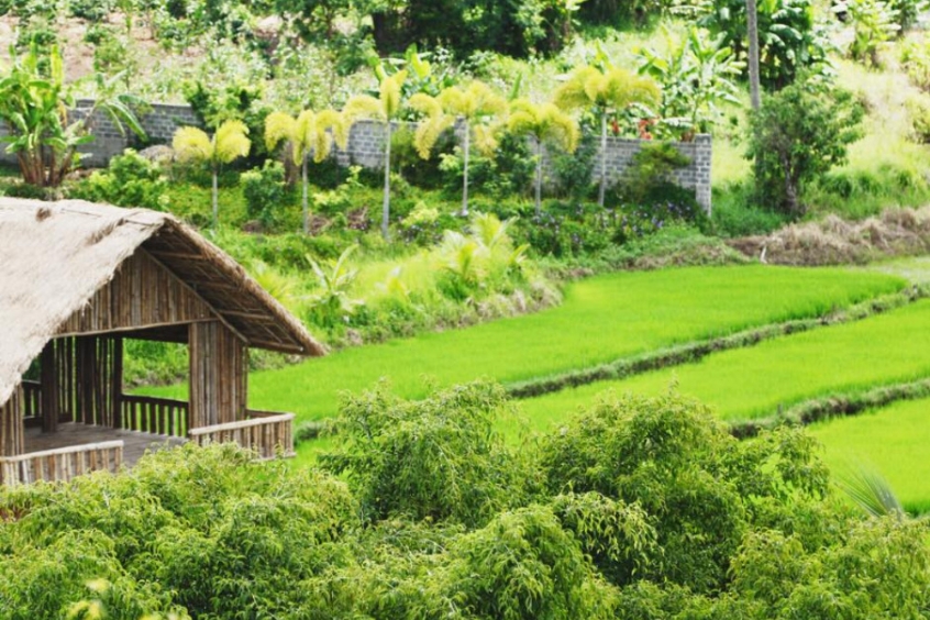 Du lịch sinh thái Đồi Thông