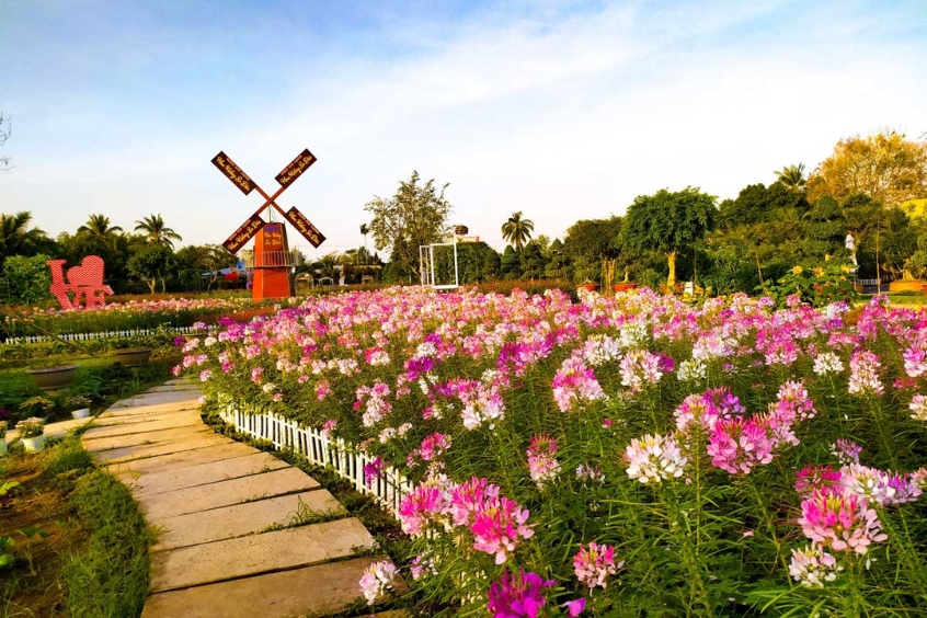 Làng hoa Đồng Tháp