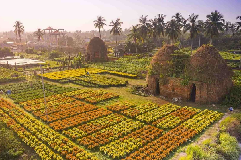 Lưu ý quan trọng khi du lịch Đồng Tháp