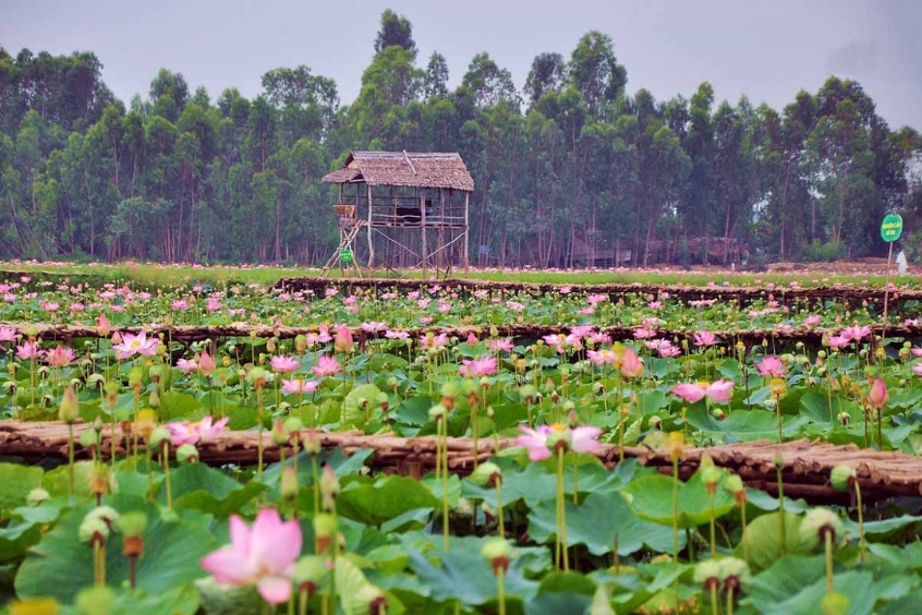 Khu du lịch Đất Sen Hồng