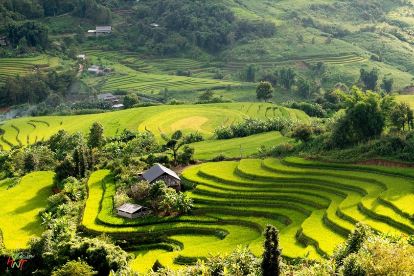 Cao nguyên Dào San