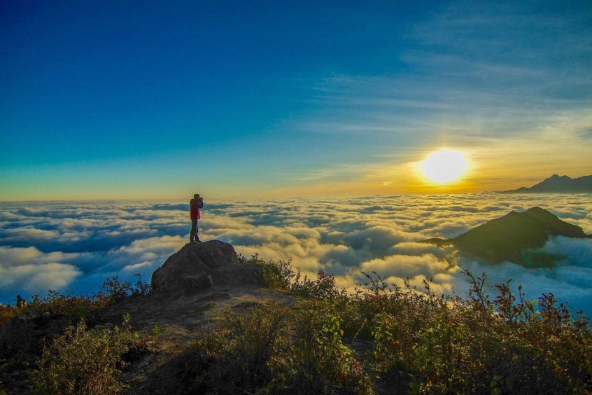 Bạch Mộc Lương Tử