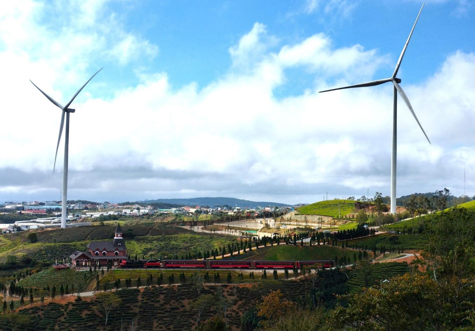 Đồi chè Cầu Đất – Thiên đường xanh giữa lòng Đà Lạt (Ảnh: Internet).