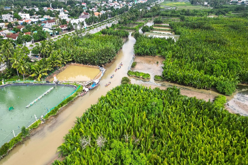 Bãi Dừa – Nét đẹp hoang sơ giữa lòng thành phố biển (Ảnh: Internet).