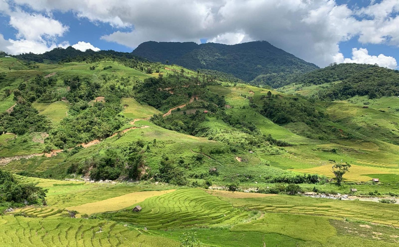 Núi Ngọc Linh – Chinh phục đỉnh cao Tây Nguyên (Ảnh: Internet).