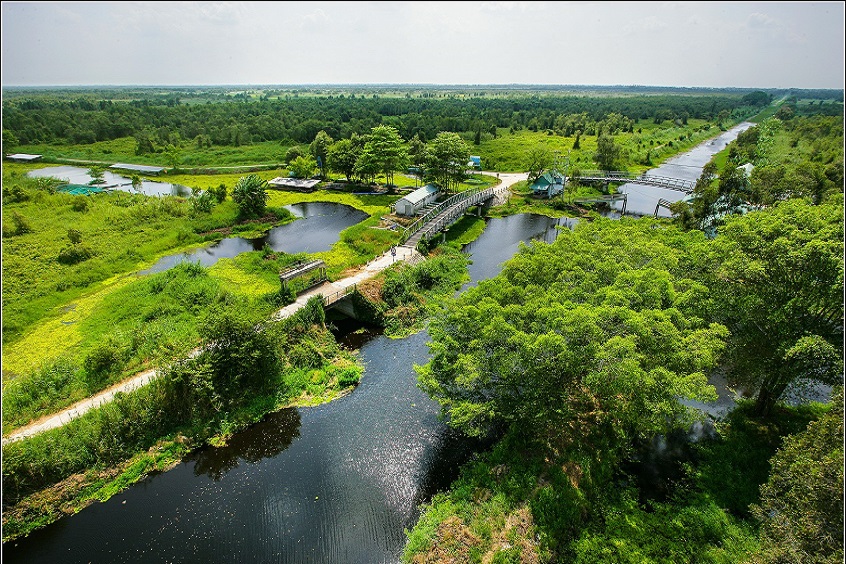 U Minh Thượng – Khám phá hệ sinh thái độc đáo (Ảnh: Internet).