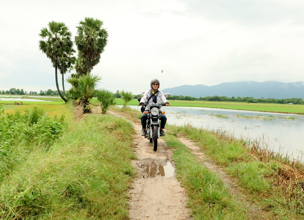 Thốt nốt trái tim - Cặp cây thốt nốt độc đáo nhất Việt Nam (Ảnh: Internet)