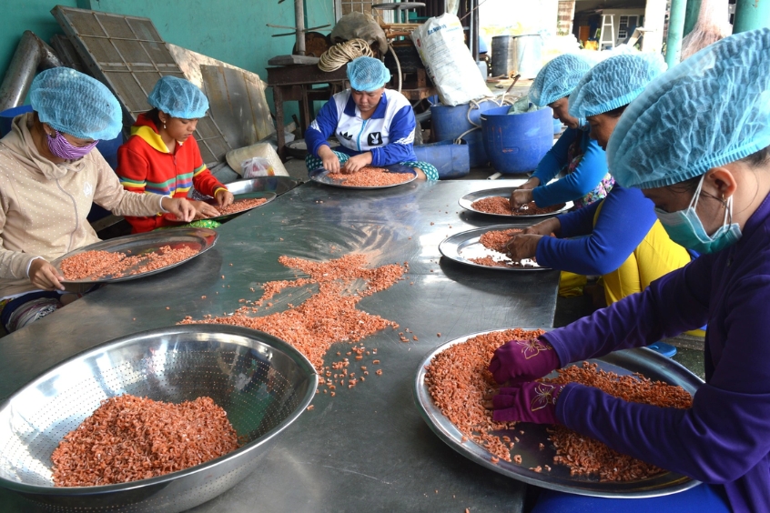 Làng nghề làm tôm khô Tân Duyệt
