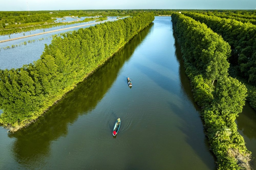 Rừng Đước Năm Căn