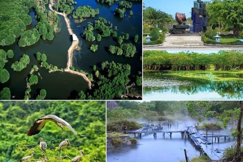 Rừng nguyên sinh Bình Châu