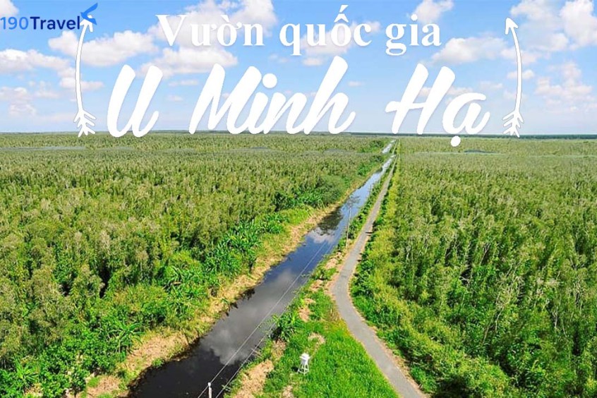 Vườn quốc gia U Minh Hạ