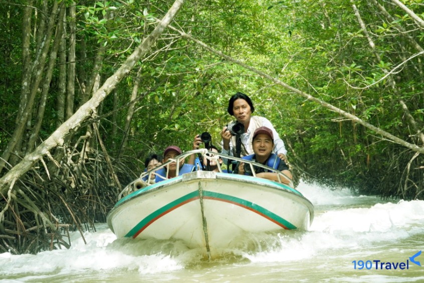 Khám phá đất Mũi bằng cano