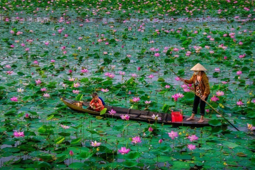 Tour du lịch Đồng Tháp